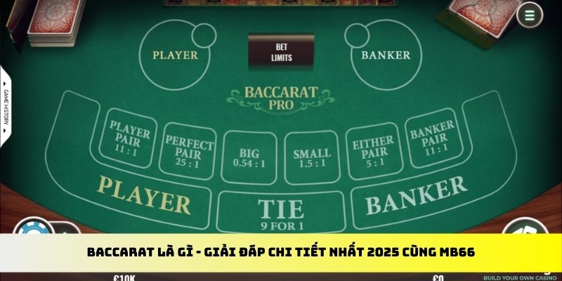 s666 plus sòng bạc TRỰC TUYẾN