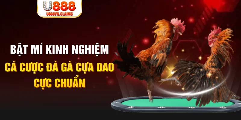 dk8 sòng bạc ĐĂNG NHẬP