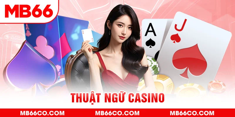 sunwin sòng bạc tỷ lệ bóng đá