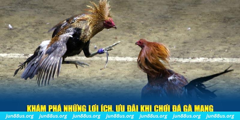 nhacai88 casino link mới