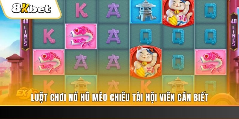 xs9988 casino Đăng ký
