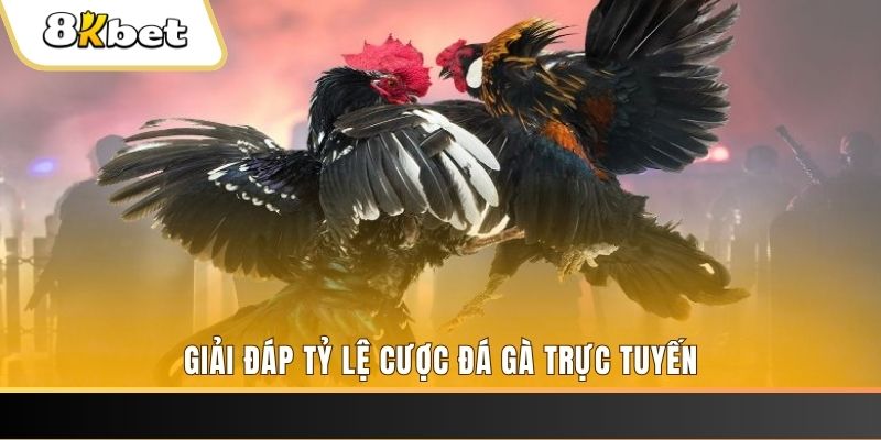 hit club casino Đăng nhập
