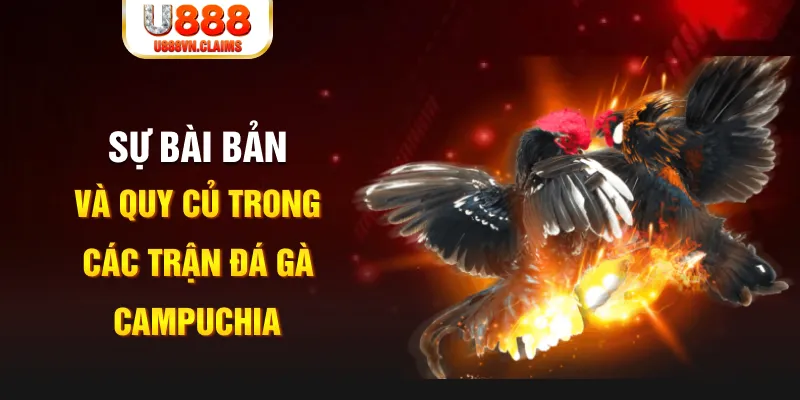 ne88 casino LINK MỚI