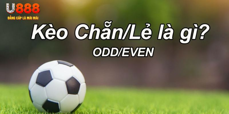go 88 sòng bạc Sòng bạc